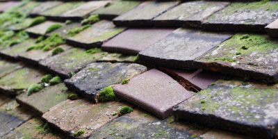 Drayton Beauchamp roof repair costs